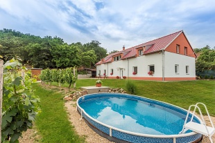 Nový objekt: Ubytování Dyje - penzion s bazénem - Znojmo 1M-075